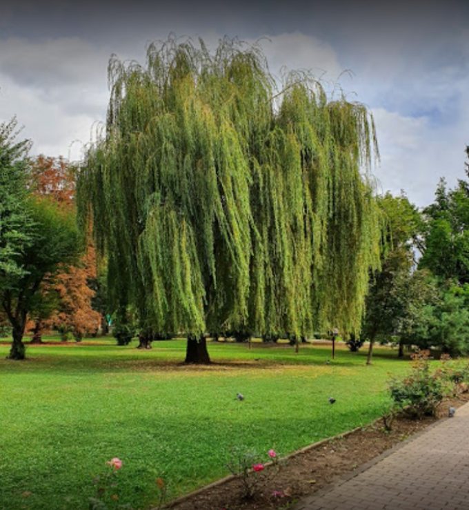 Parcul Scriitorilor (Dacia)