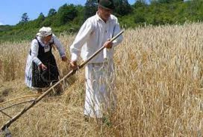 CONSILIUL LOCAL OARŢA DE JOS