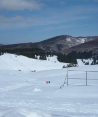 Partie Ski Brazi – Izvoare